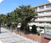 国立音楽大学沿線の楽器可賃貸物件を探す