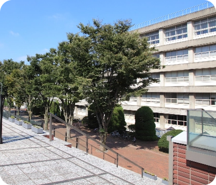 国立音楽大学