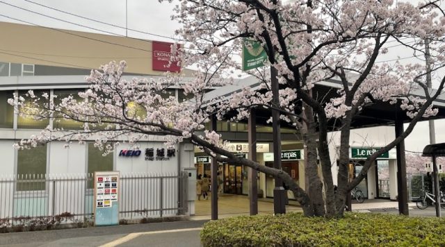 稲城駅周辺の住みやすさ！アクセスや治安、近場のお店など調査！【楽器可・防音賃貸物件】